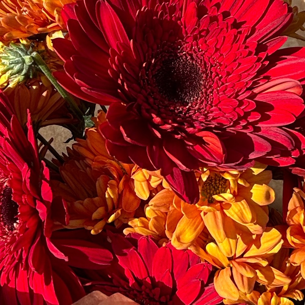 Meet your Posher, Linz